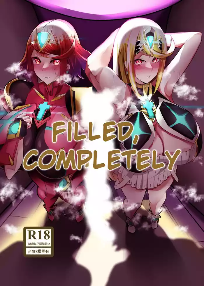 [Torokiboshi (Asagi Hiro)] Hai, Michite. | Filled, Completely (Xenoblade Chronicles 2) [English] [Digital]