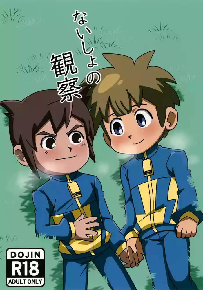 (ShotaFes 18) [Inu no Kotekitai (Chi-tama)] Naisho no Kansatsu (Inazuma Eleven)