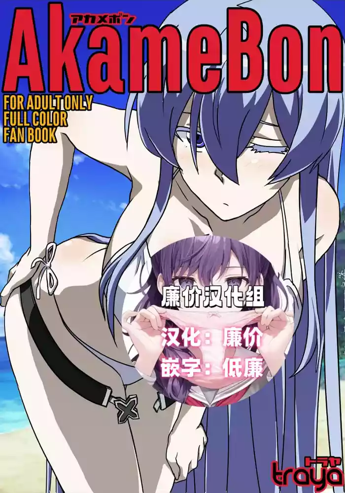 [TraYA] AkameBon (Akame ga Kill!) [Chinese] [廉价汉化组]