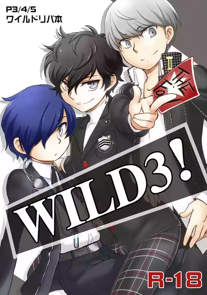 [Aniki Otokodou (Kirigakure Takaya)] WILD3! (Persona 3) (Persona 4) (Persona 5) [Digital]