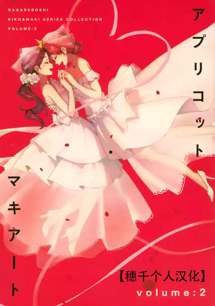 (C95) [Do well !!! (Nagareboshi)] Apricot Macchiato Volume: 2 | 杏色玛奇朵 第2册 (Love Live!, Love Live! Sunshine!!)  [Chinese] [穗千个人汉化]