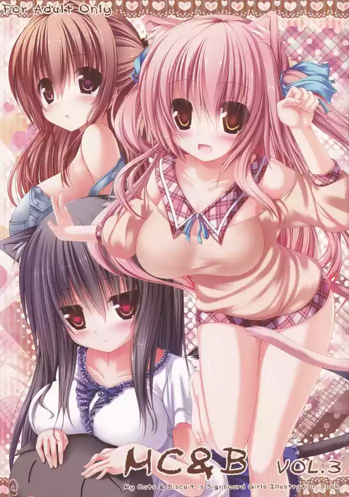 (C82) [Fukuneko Mofumofu (Syroh)] My Cats & Biscuit Vol.3