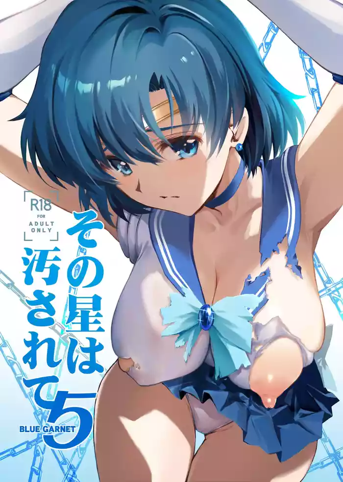 [BLUE GARNET (Serizawa Katsumi)] Sono Hoshi wa Yogosarete 5 (Bishoujo Senshi Sailor Moon) [Digital]