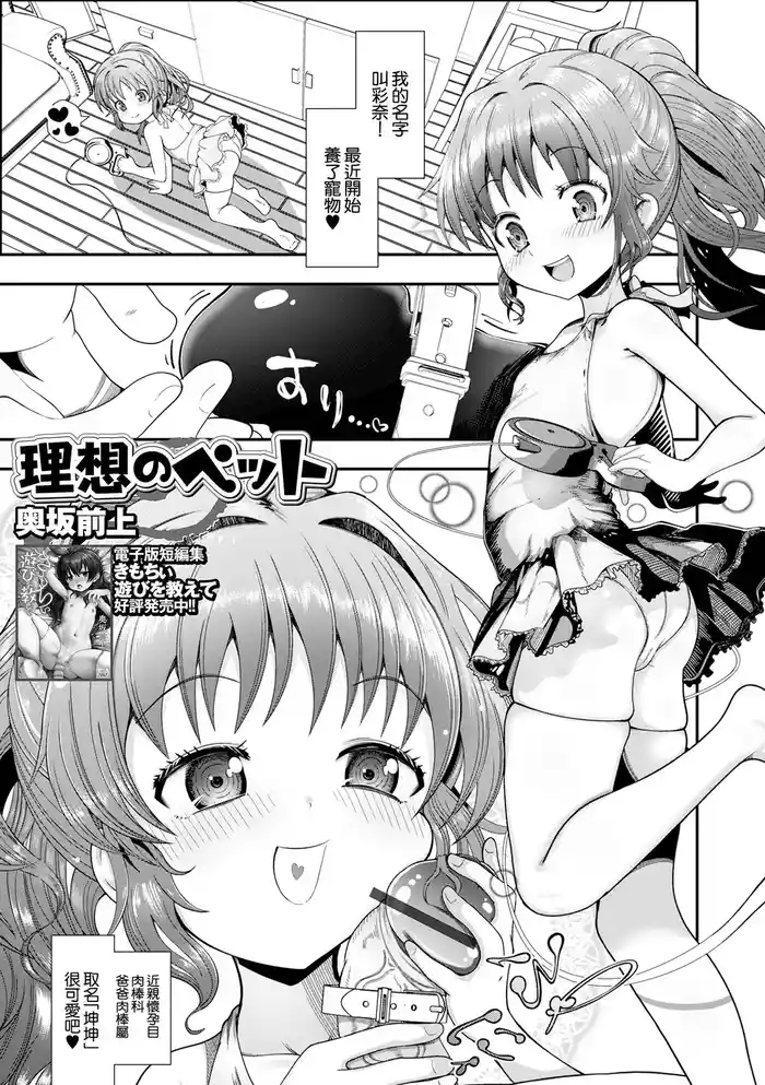 [Okusaka Maeue] Risou no Pet (Sai Puni! 5-genme) [Chinese]