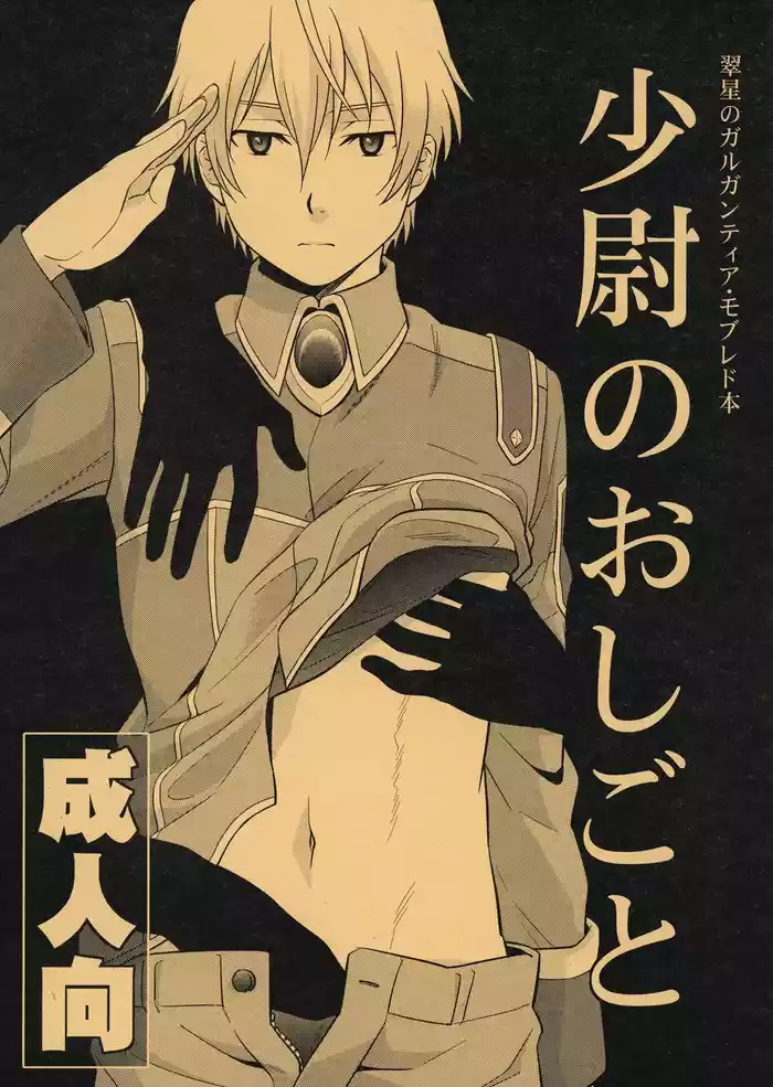 (C85) [sky (ai)] Shoui no Oshigoto (Suisei no Gargantia)