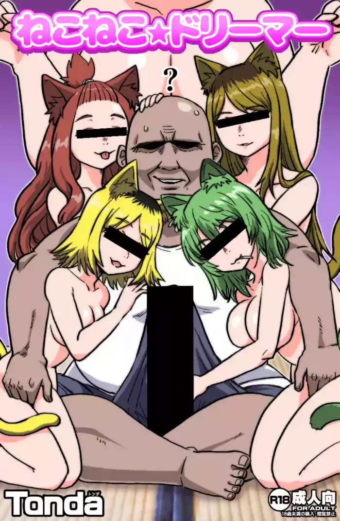 [ShiftAltOn (Tonda)] Nekoneko Dreamer (Yanineko)