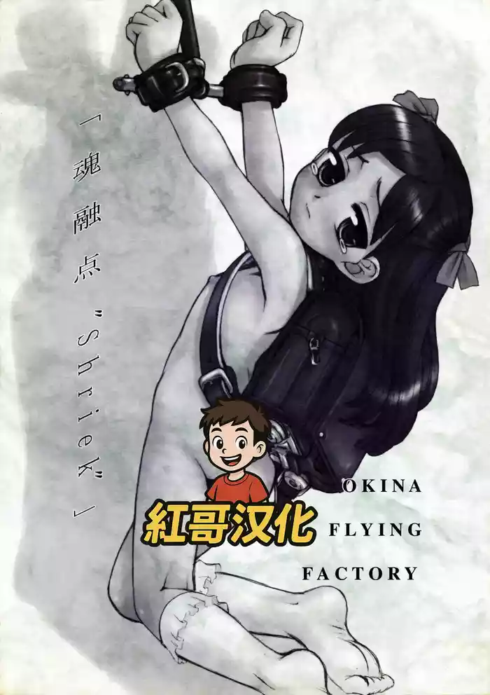 (Puniket 13) [Okina Flying Factory (OKINA)] Tamashii Yuuten "SHRIEK" [Chinese] [紅哥汉化]