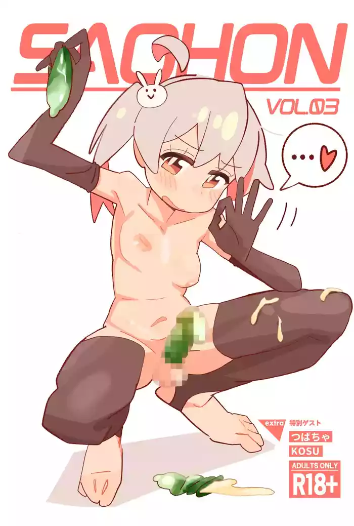 [Fujinum Seven] SAOHON 3 (Onii-chan wa Oshimai!) [Digital]