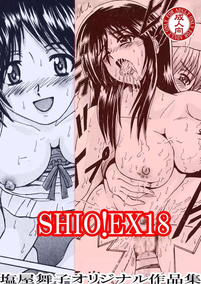 [Shioya (Shioya Maico)] SHIO!EX 18 [Digital]