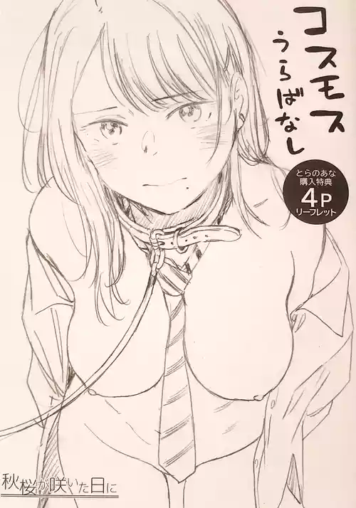 [荒井啓] 秋桜が咲いた日に とらのあな購入特典 描き下ろし4Pリーフレット