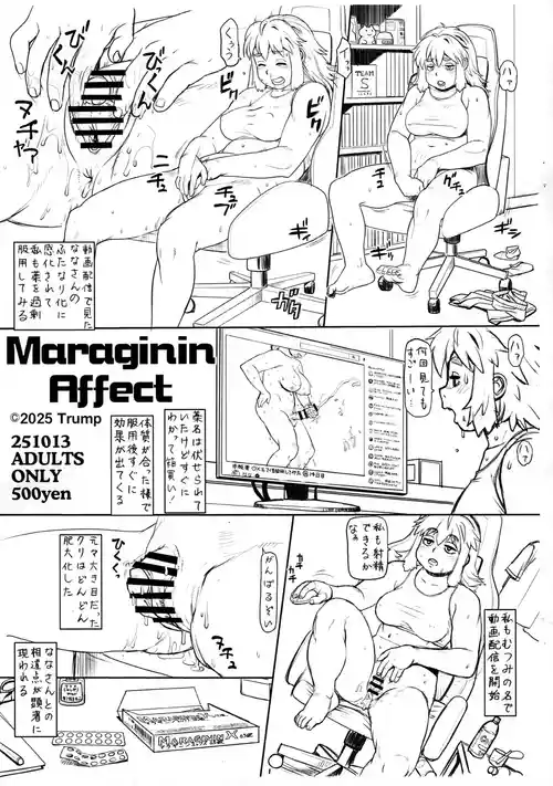 (ふたけっと35) [TEAM SHUFFLE (Trump)] Maraginin Affect