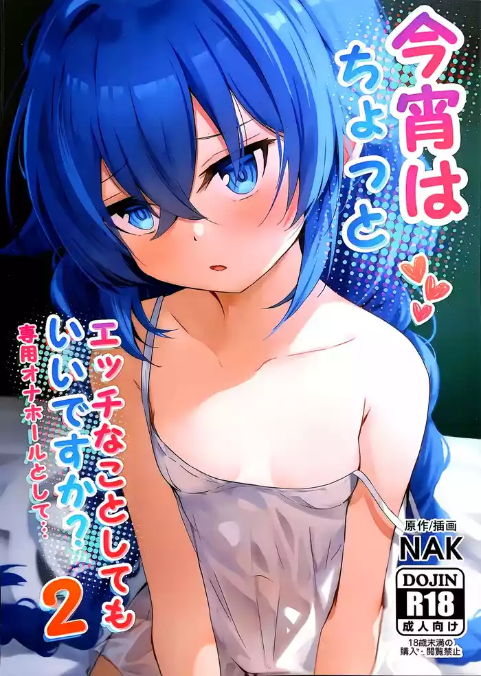 Koyoi wa Chotto Ecchi na Koto Shite mo Ii desu ka? Senyou Onahole to Shite... 2