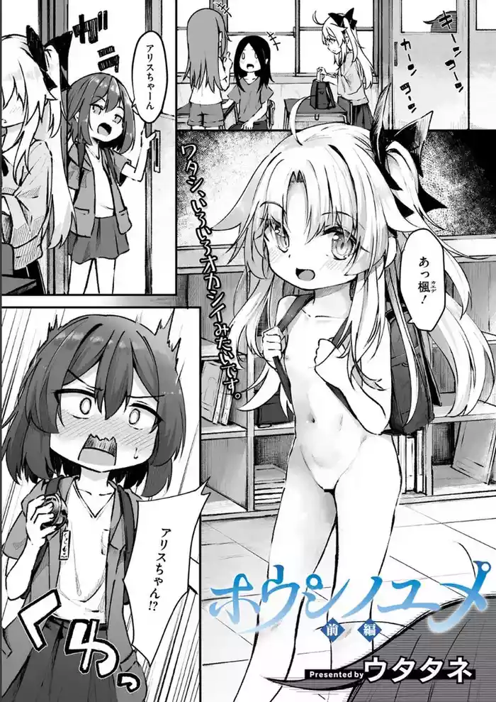ホウシノ ユメ