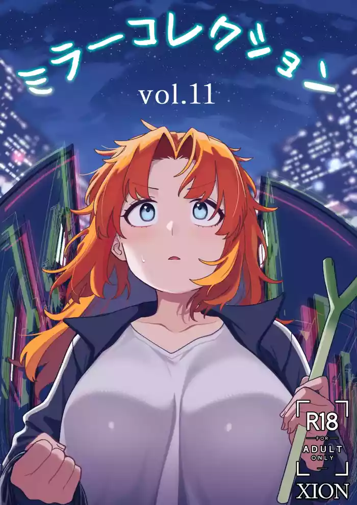 ミラーコレクション 11