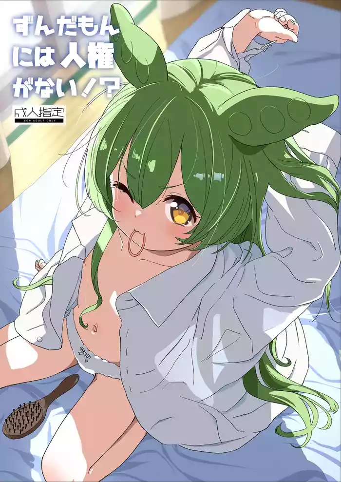 Zundamon ni wa Jinken ga Nai!?