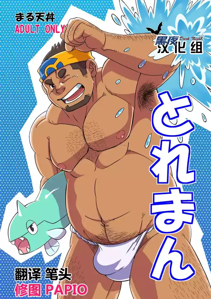 Toreman | 训练师