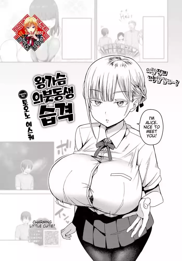Dekapai Gimai, Syuurai | Step Sister Attacks!