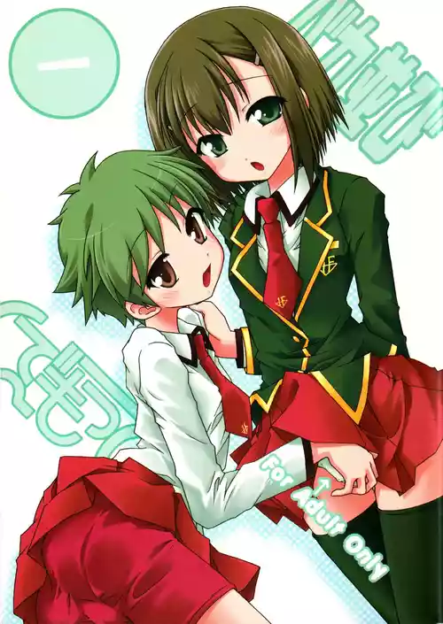 (C75) [んでもって (200Xず～む、KOIZUMI)] バカ並び (バカとテストと召喚獣)