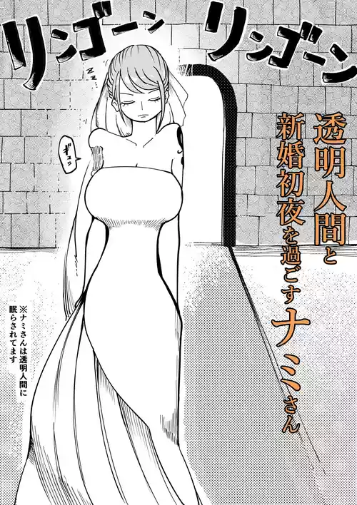 [Yubi] 透明人間と新婚初夜を過ごすナミさん (ワンピース)
