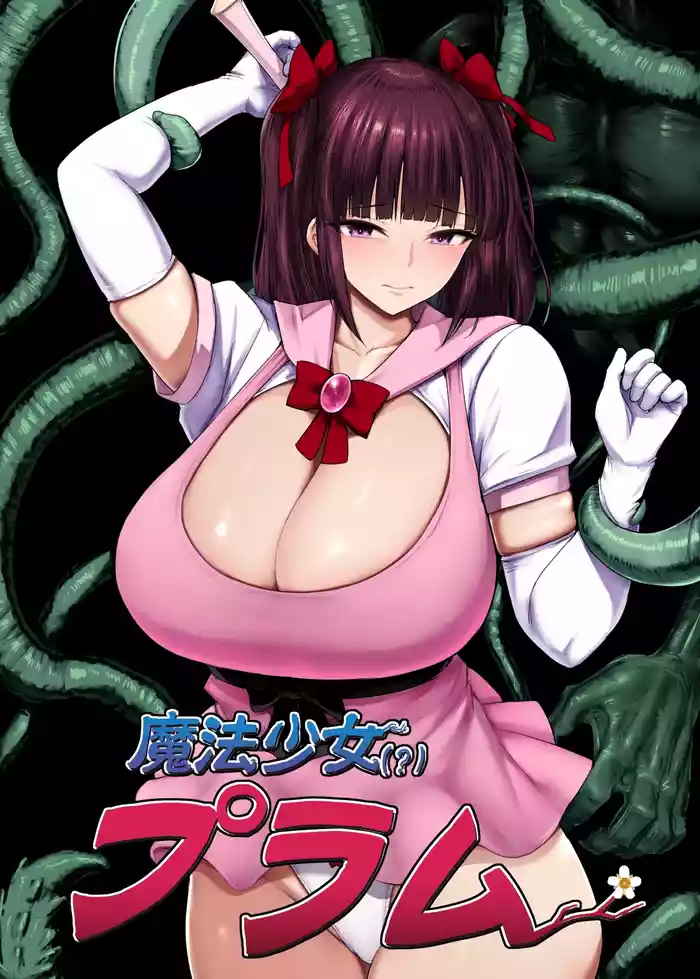 Mahou Shoujo (?) Obasan