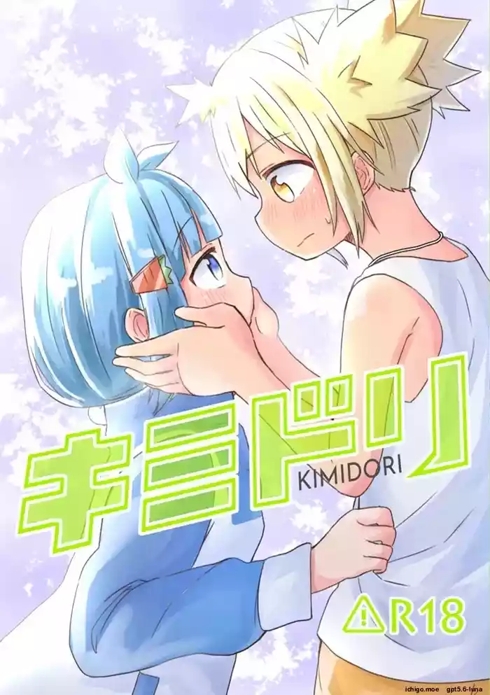kimidori