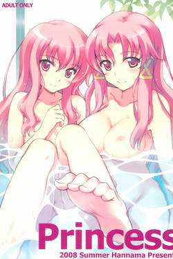 young-adult-zero-no-tsukaima-nude